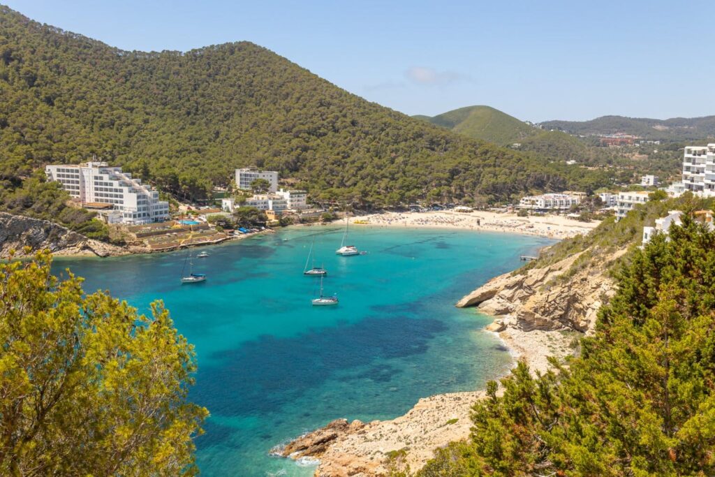alarmas cala llonga